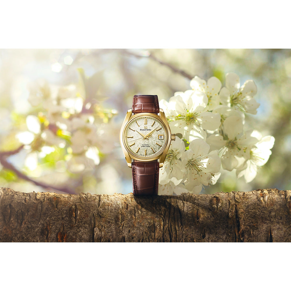 9Sメカニカル メカニカルハイビート 36000 桜若葉 SBGH376