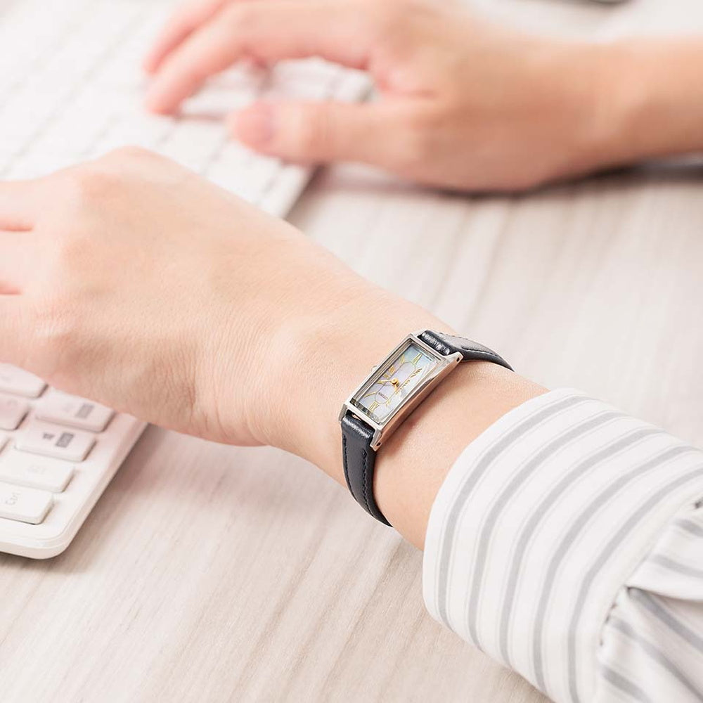 世界限定800本 シチズン キー エコ・ドライブ EG7040-74D シチズン