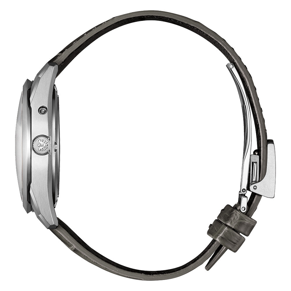 世界限定400本 The CITIZEN 30周年記念限定モデル エコ・ドライブ Iconic Nature Collection AQ4100-22A