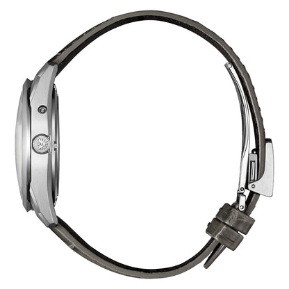 世界限定400本 The CITIZEN 30周年記念限定モデル エコ・ドライブ Iconic Nature Collection AQ4100-22A