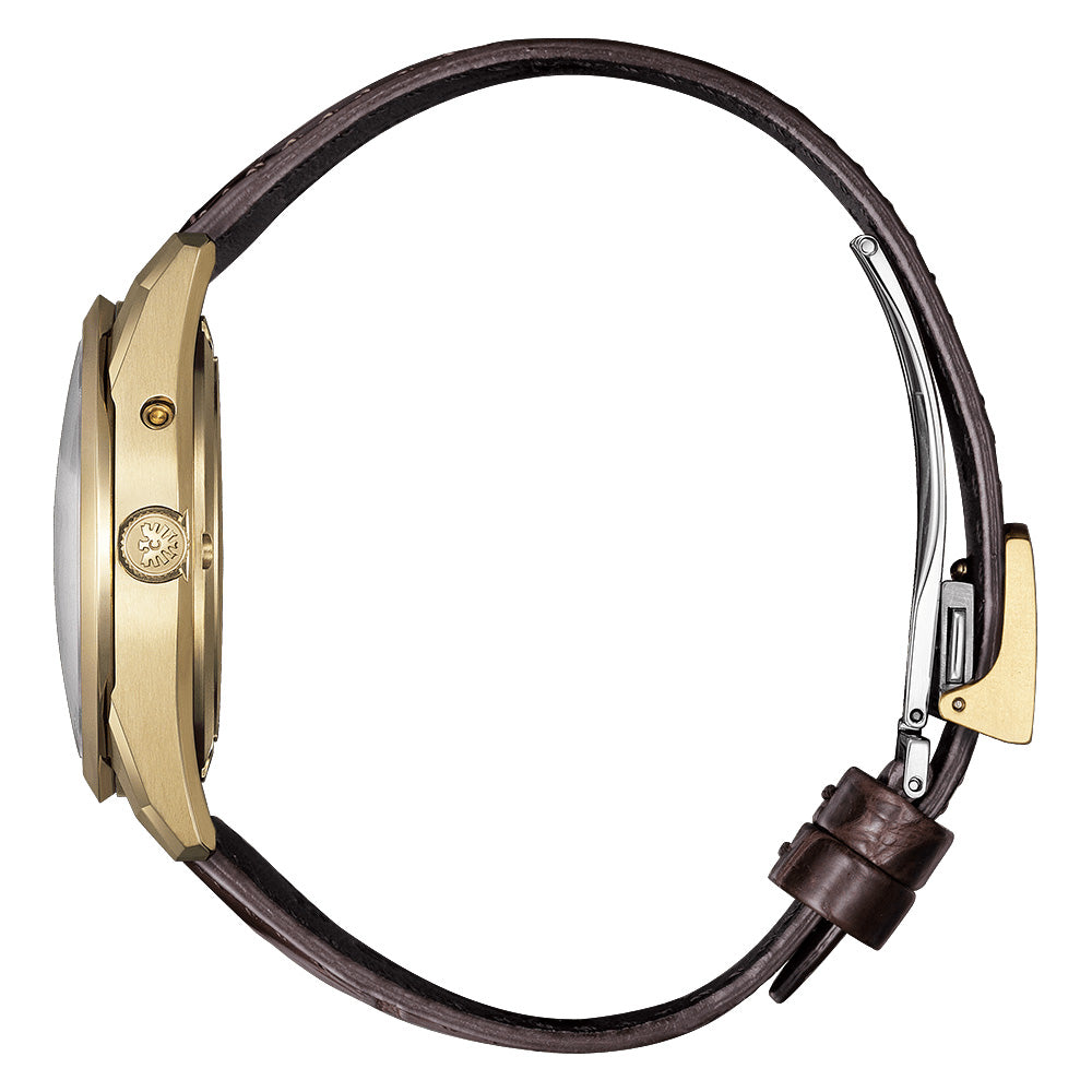 世界限定400本 The CITIZEN 30周年記念限定モデル エコ・ドライブ Iconic Nature Collection AQ4103-16W