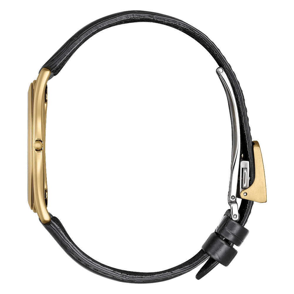 世界限定250本 エコ・ドライブ AQ5022-02L シチズン