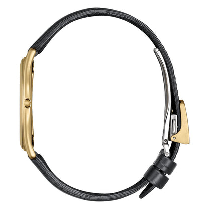 世界限定250本 エコ・ドライブ AQ5022-02L シチズン