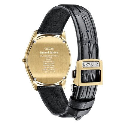 世界限定250本 エコ・ドライブ AQ5022-02L シチズン