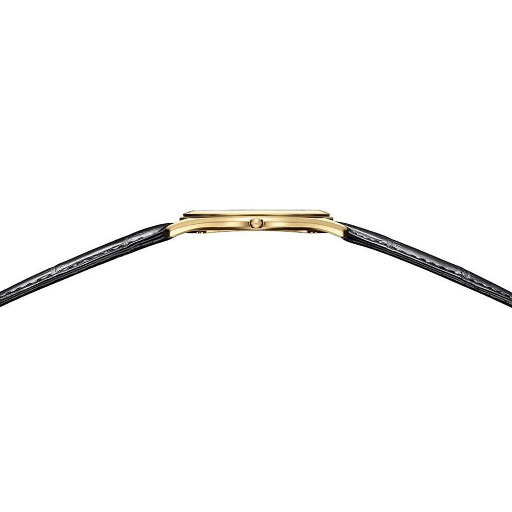 世界限定250本 エコ・ドライブ AQ5022-02L シチズン