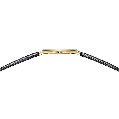 世界限定250本 エコ・ドライブ AQ5022-02L シチズン