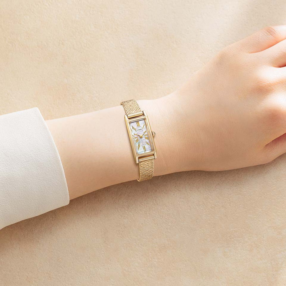 世界限定800本 シチズン キー エコ・ドライブ EG7043-33D シチズン