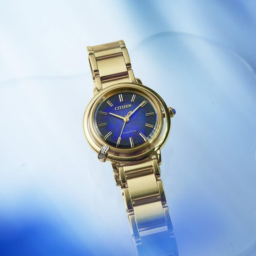 世界限定2,000本 ROUND Collection エコ・ドライブ EM1099-57L シチズン