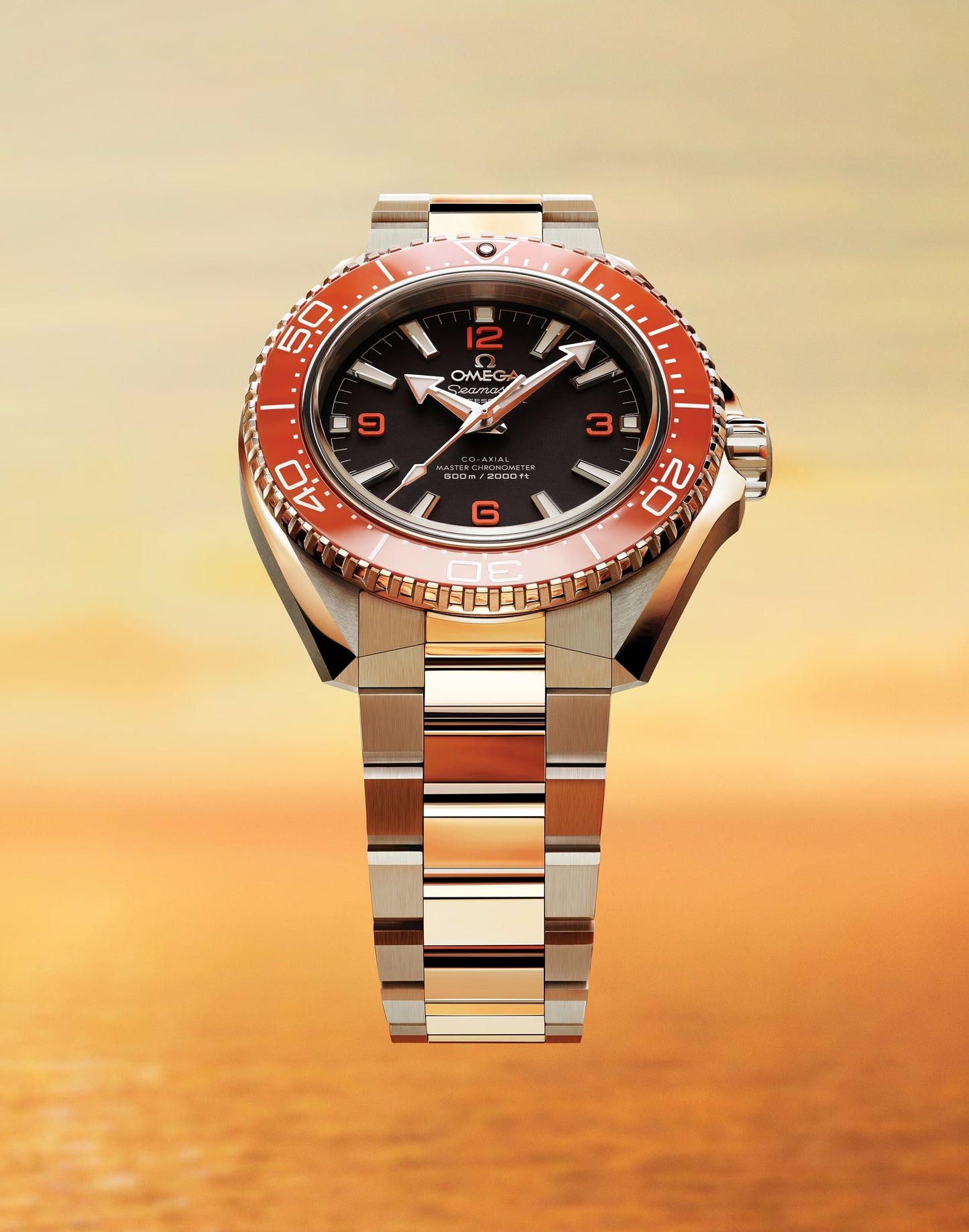 シーマスター プラネット オーシャン 600M 自動巻き 42mm 217.30.42.21.01.003