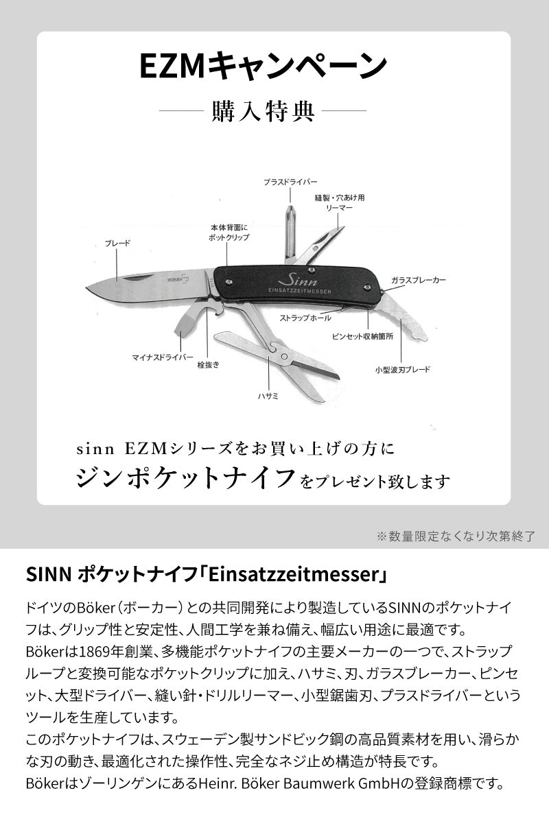 SinnEZMキャンペーン